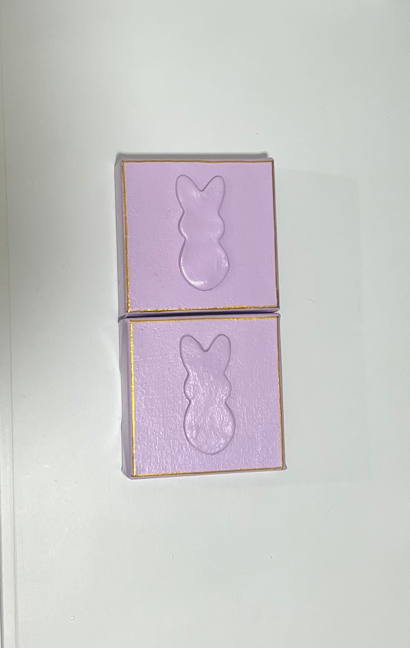 4x4 Purple Bunny Canvas